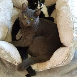 Meet your Posher, Pat